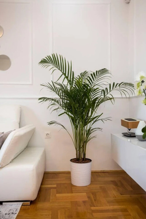 Apartment Parentium - Stay in the Heart of Porec