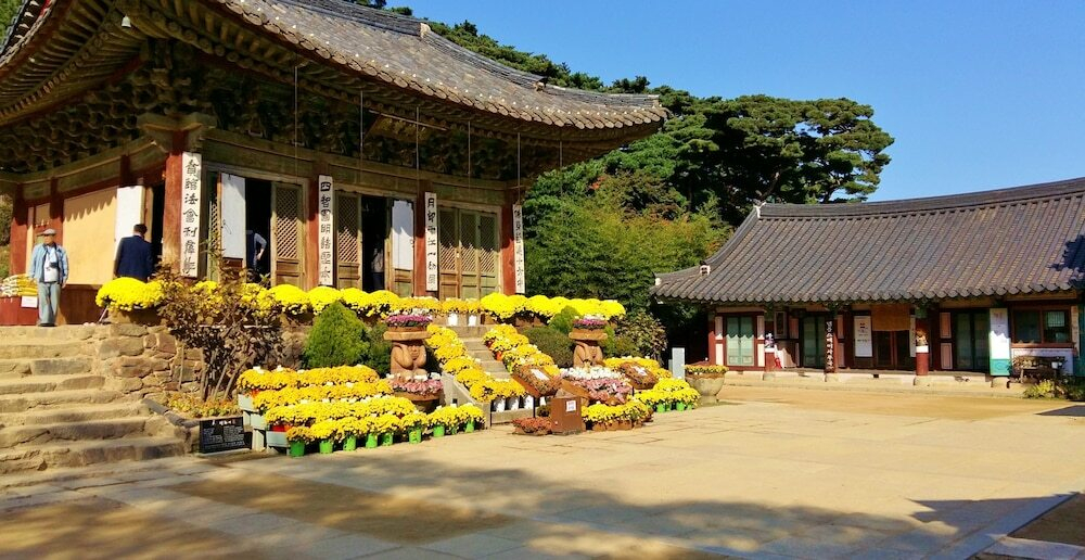 Better Guest House