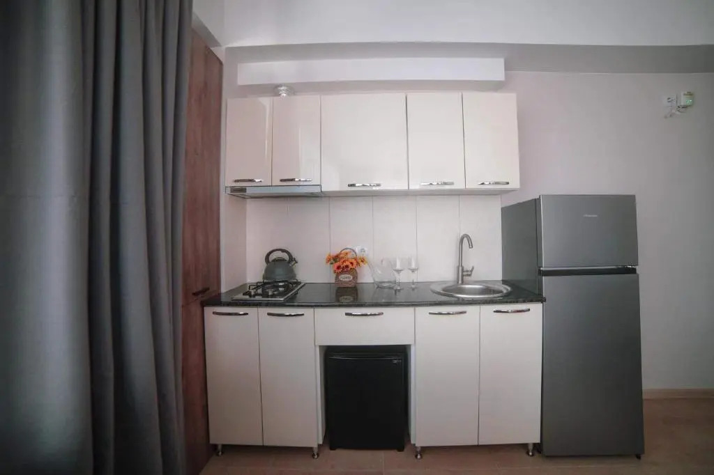 Bakuriani Plaza A221 ბაკურიანი პლაზა A221
