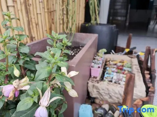 Hangzhou Unseeing Shanshan Homestay