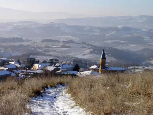 Domaine des Aloets