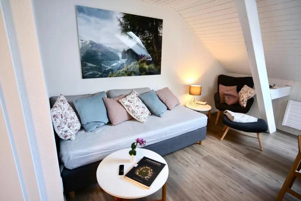 ALP APARTMENTS centre location with traditional design and self check-in