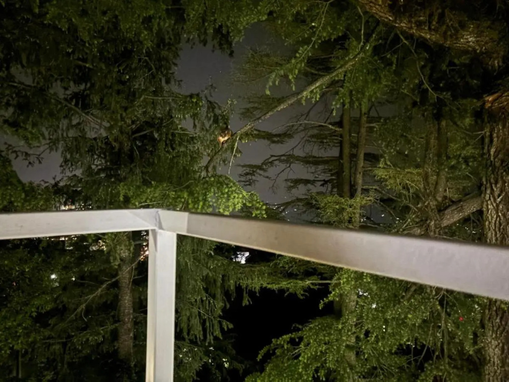 Jakhu heights