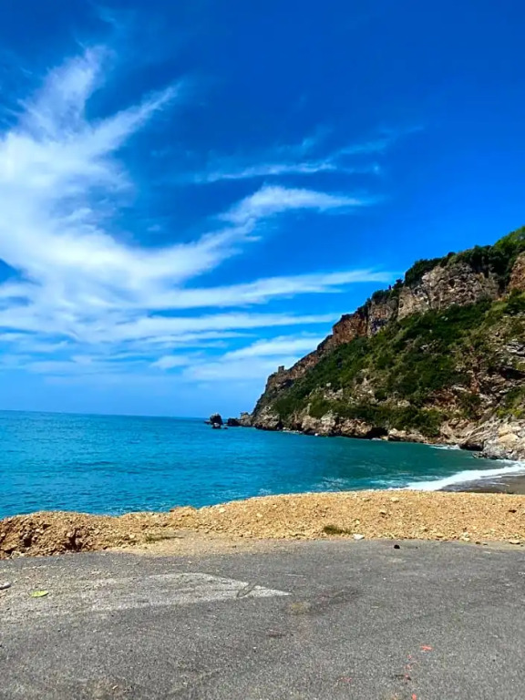 LUlivo Sul Mare