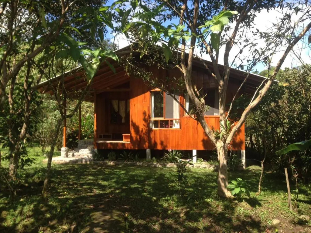 Bird Lovers House