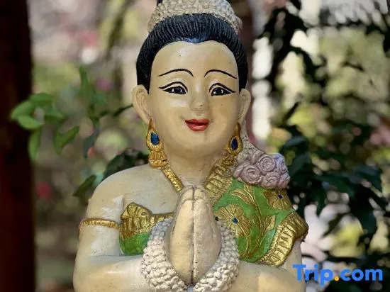 XISHUANGBANGNAFANHUAYASHEINN