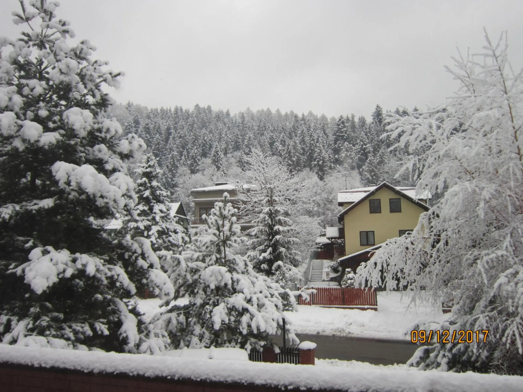 Villa Vitalis