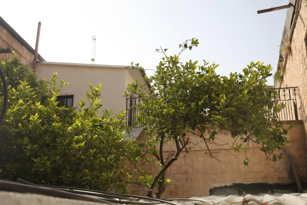 Habira Apartments