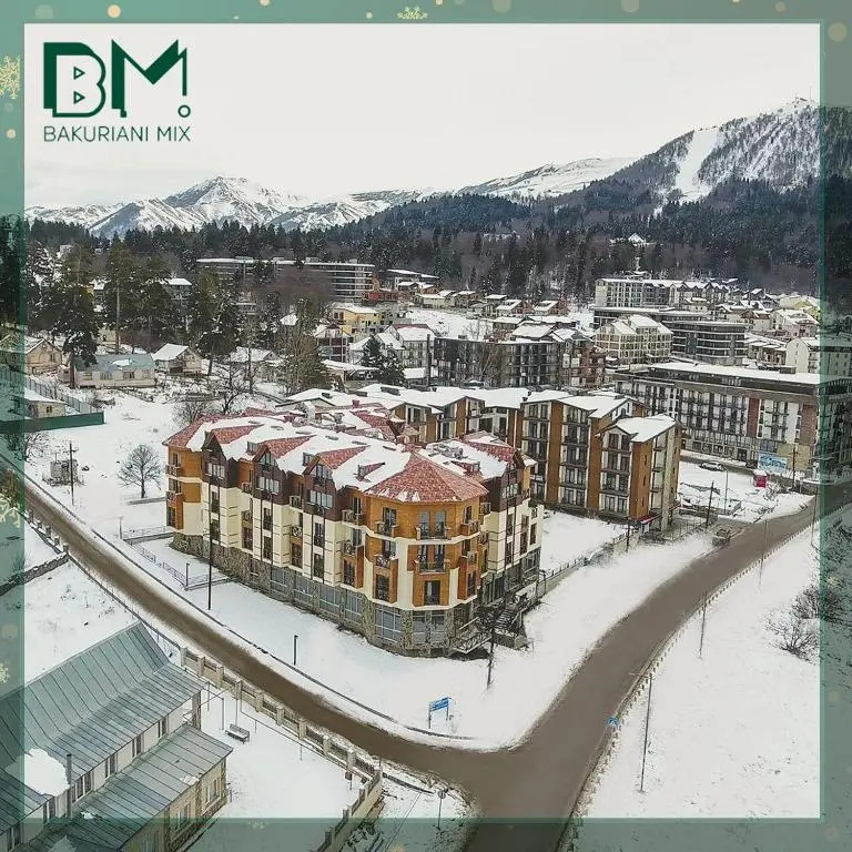 Bakuriani Mix N 209