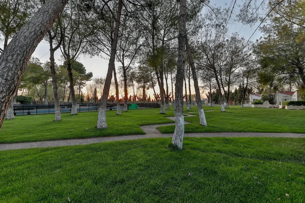 Área de Servicio El Cruce