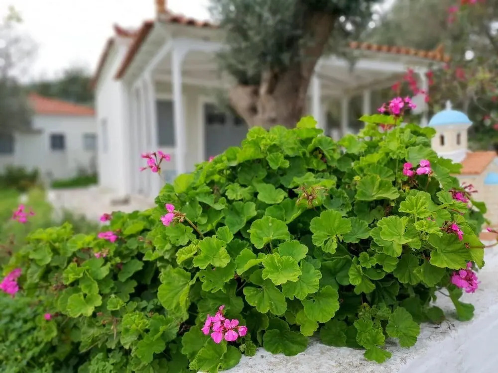Private and Quiet House Near Limnionas Beach