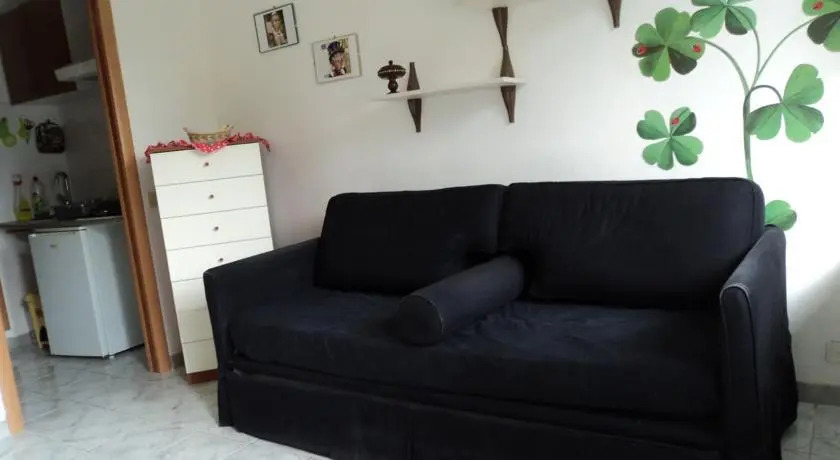 Oasi