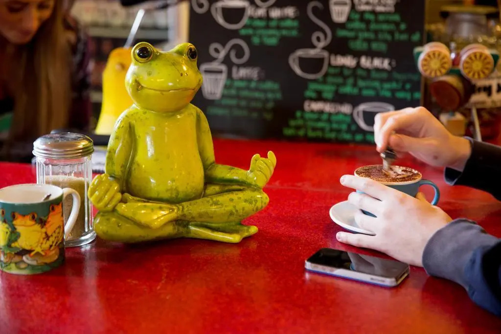 The Pickled Frog