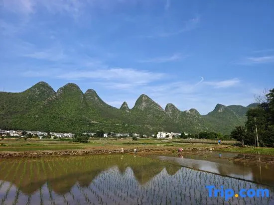 Wanfenglin Shanyin Yuefeng Homestay