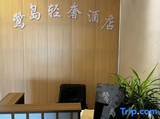Ludao Light Luxury Homestay (Shangqiu Zhonghuan Plaza Railway Station)