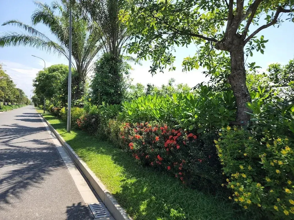 Homey Stay - Cua Dai Hoi An