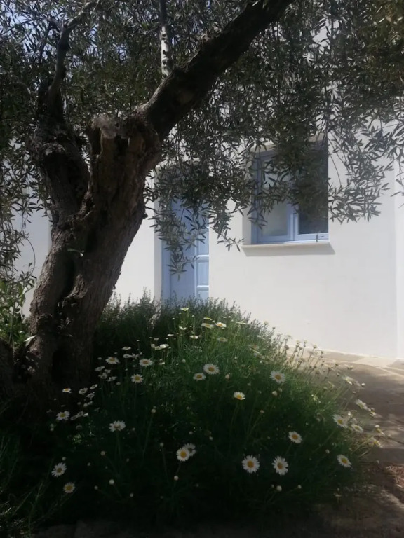 Tenuta De Marco
