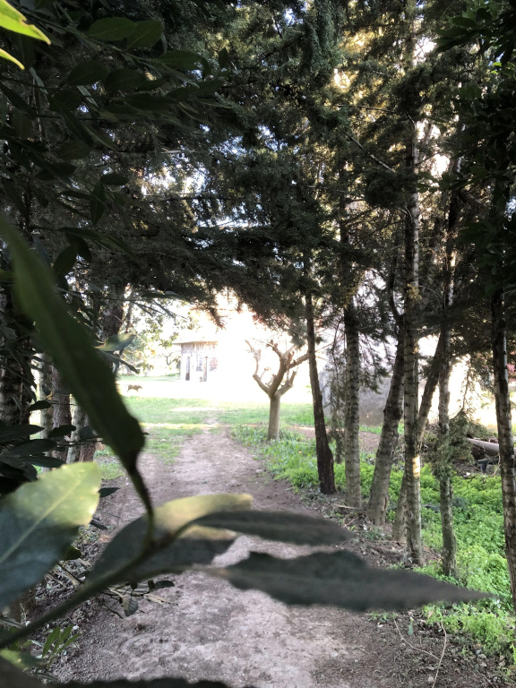 Decriresort