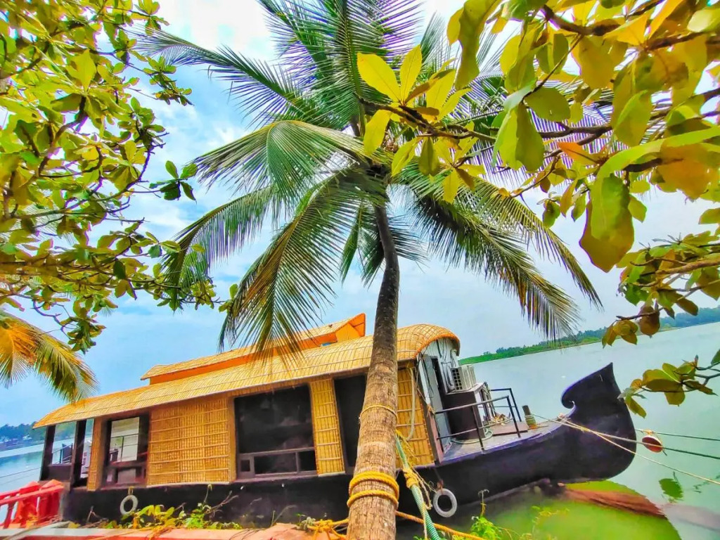 Paradise Lagoon