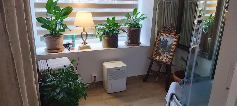 Studio in Cluj-napoca, With Terrace and Wifi
