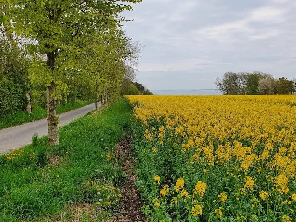 4 person holiday home in Nykøbing M