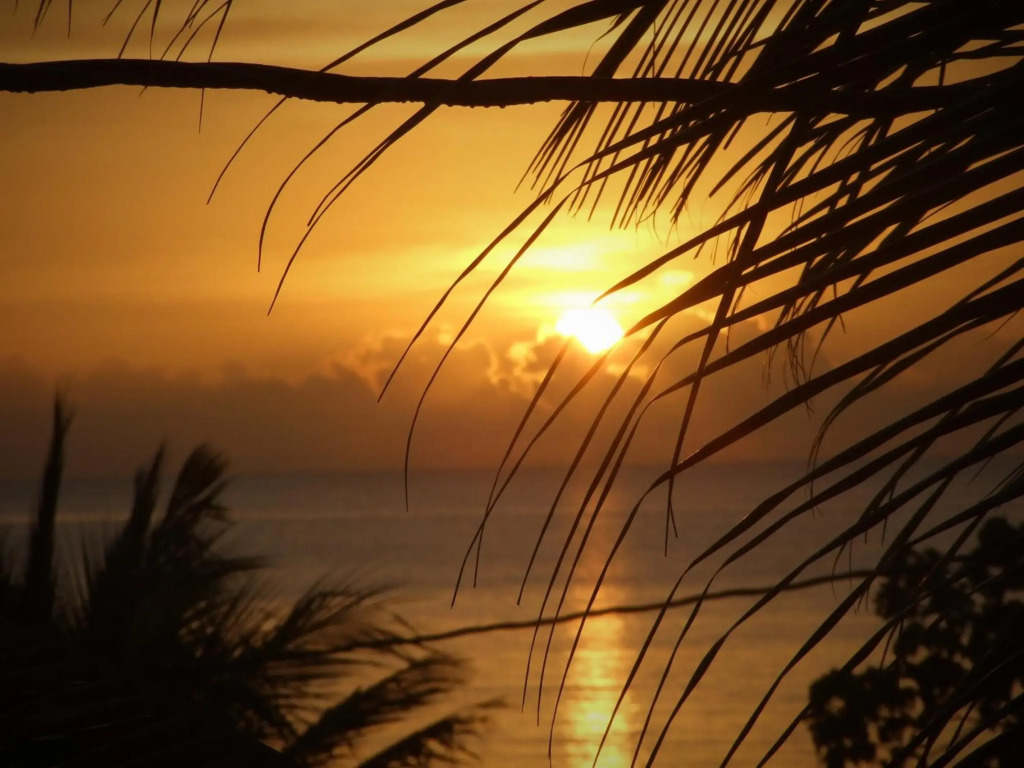 BlueBelize B&B