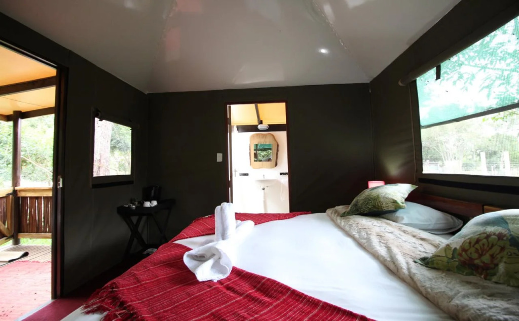 MALI Boutique Lodge & Tube n Axe Budget Accommodation