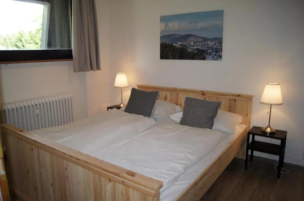 Winterberg Appartement 21097