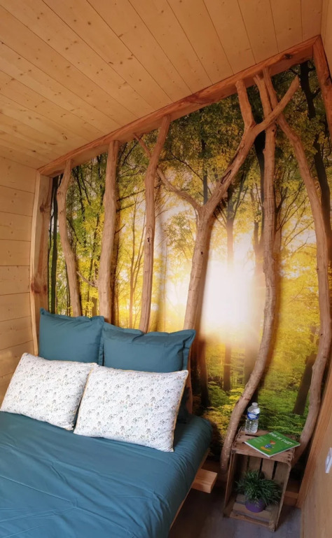 Kabanéo - Gîte et Sauna- Samois sur Seine - Forêt de Fontainebleau