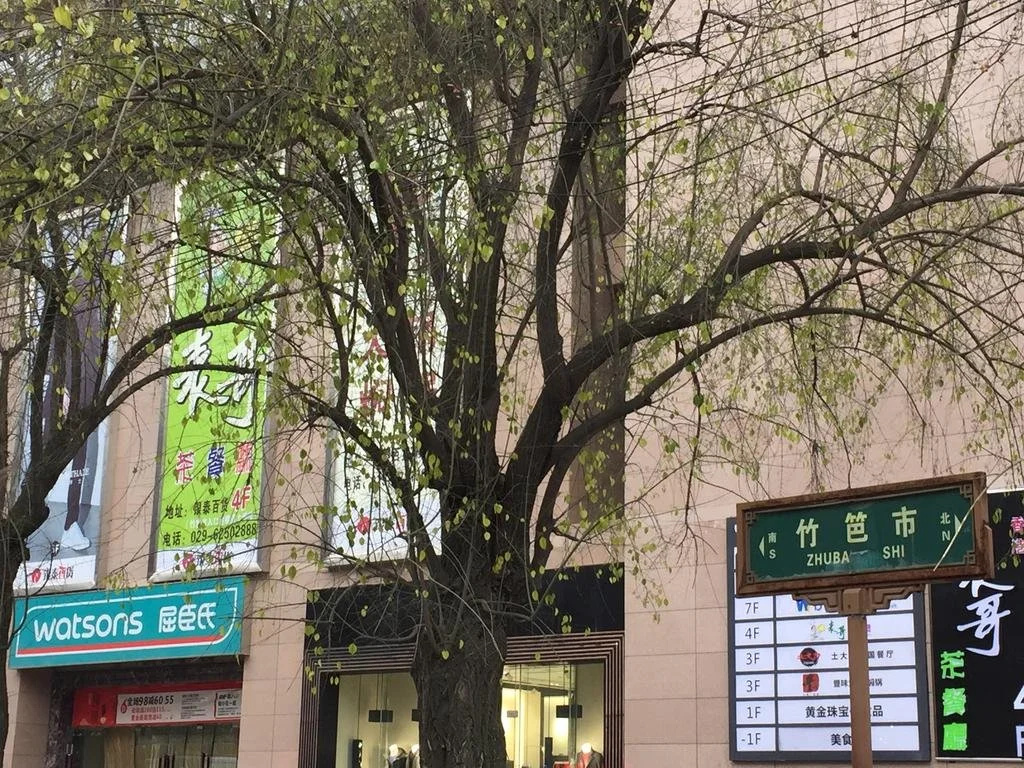 The Silk Road in Changan Youth Space
