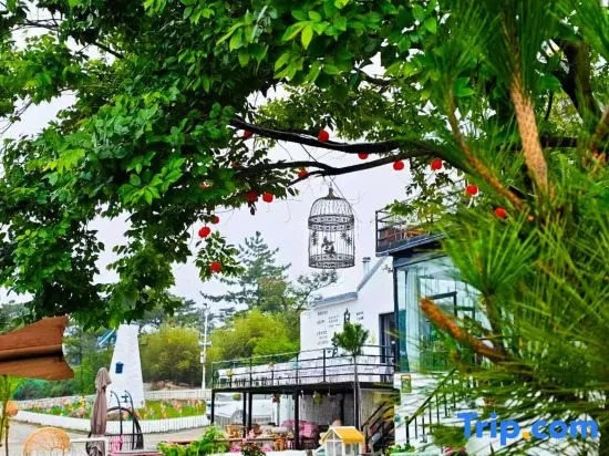 Meet Four Seasons Boutique Art Homestay
