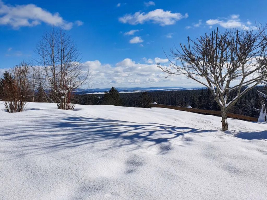 Winterhalder