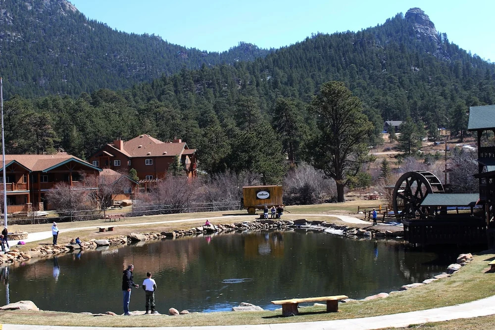 Tiny Town Cabins