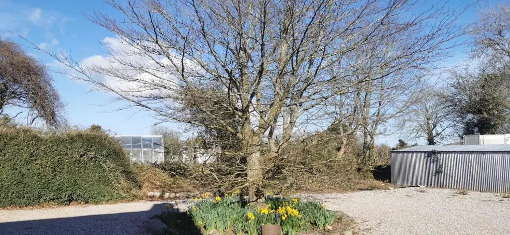 Rosebud Flower Farm Caravan Stay Countryside And Coast
