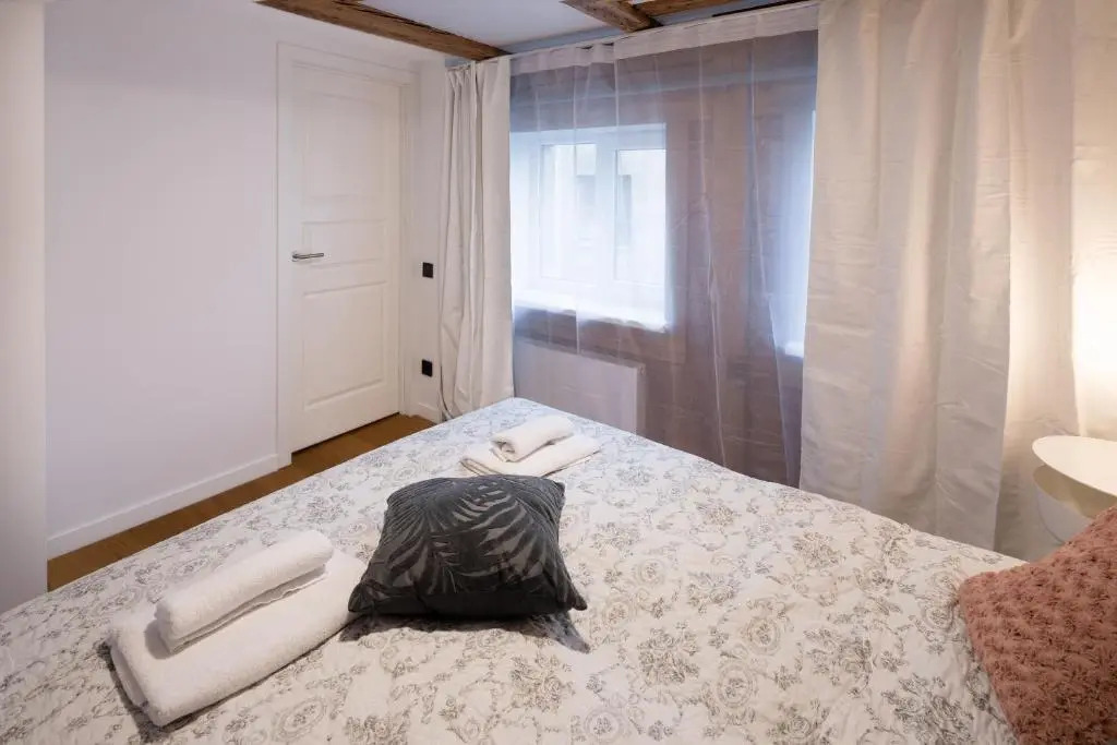 Merkela Loft Apartment Beside Vermanes Park