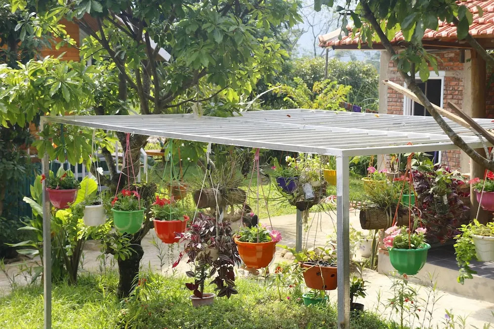 Pomelo Homestay