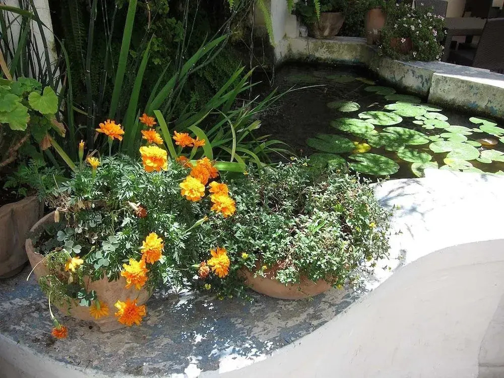 Ostello Ave Gratia Plena - Hostel