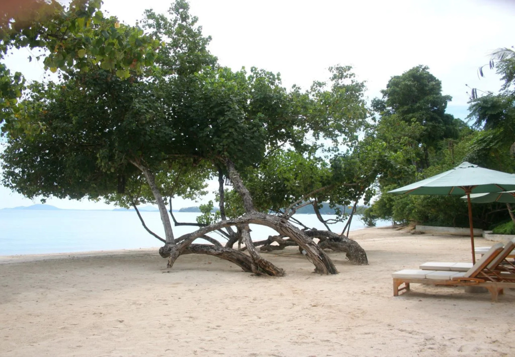 Chandara Resort & Spa Phuket