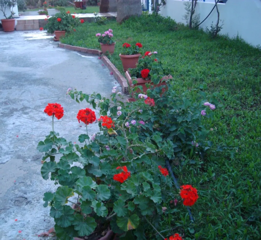 Philippos Studios & Apartments