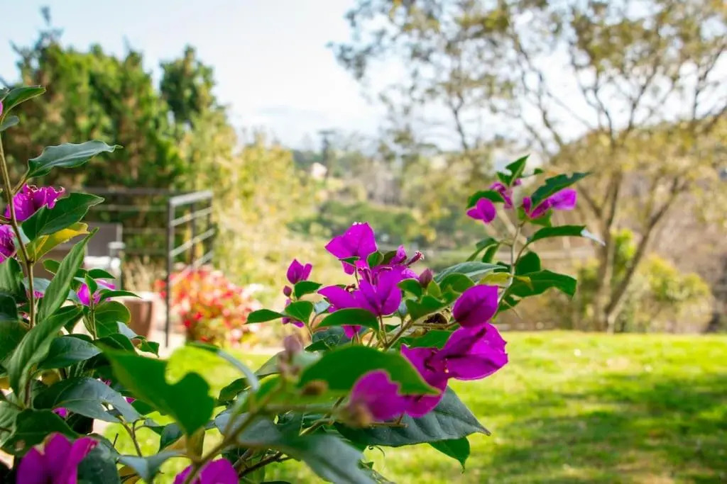 Casa na Serra 156 - Um refúgio na natureza!