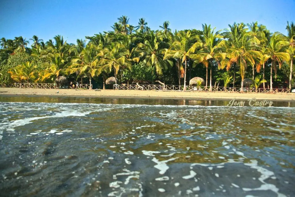 Hotel Oasis & Surf Camp