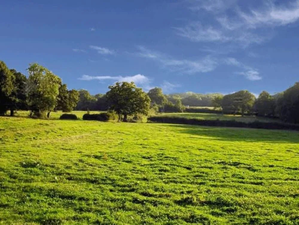Moaps Farm B&B support small business, welcome, check in from 5 pm