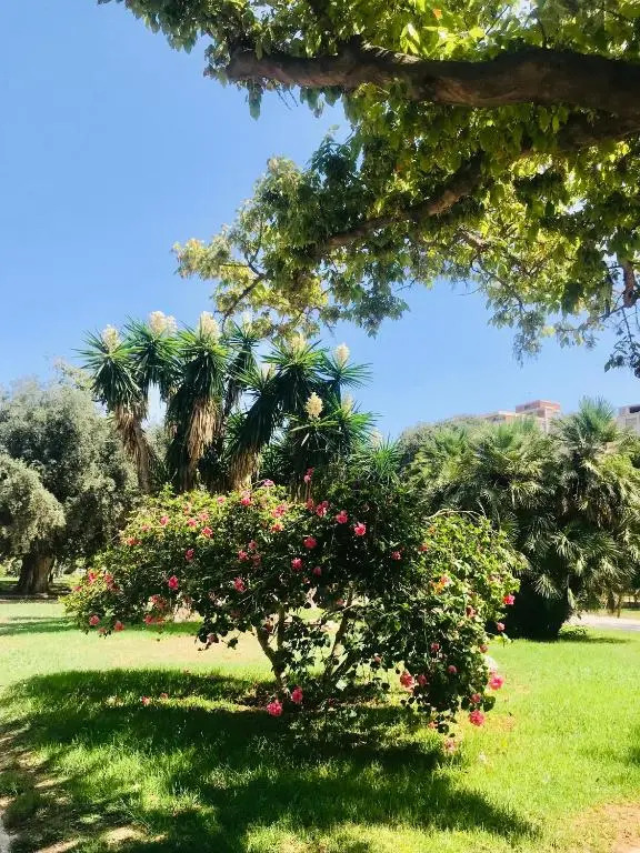 Apartamento Valencia Turia San Pio V
