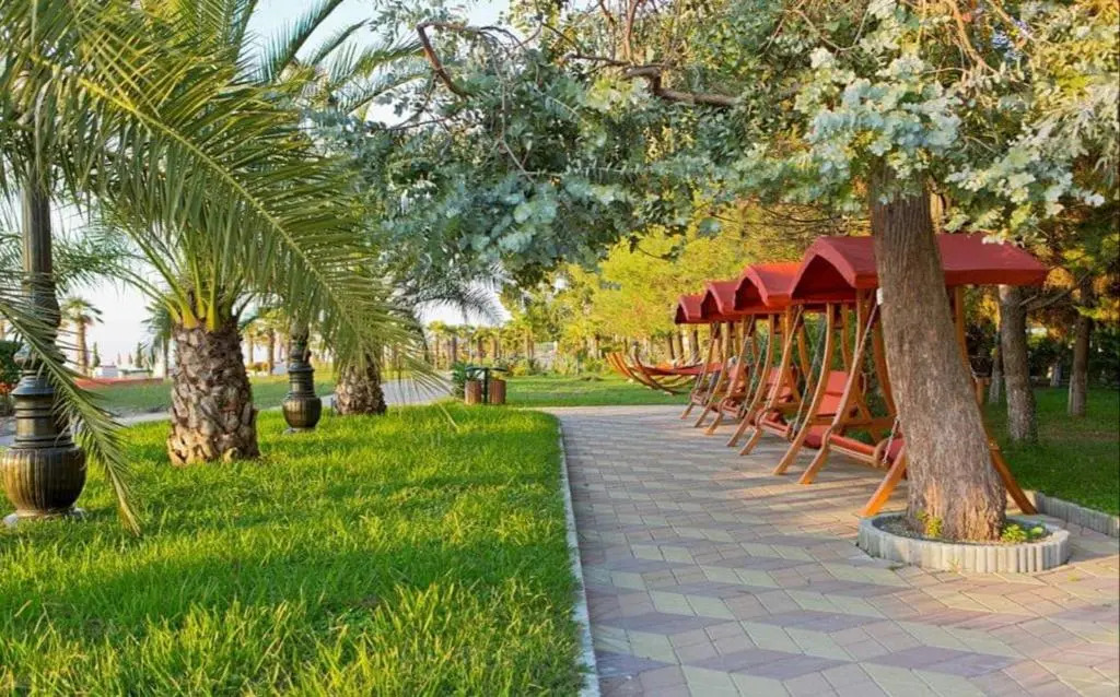 Dreamland Oasis of happiness