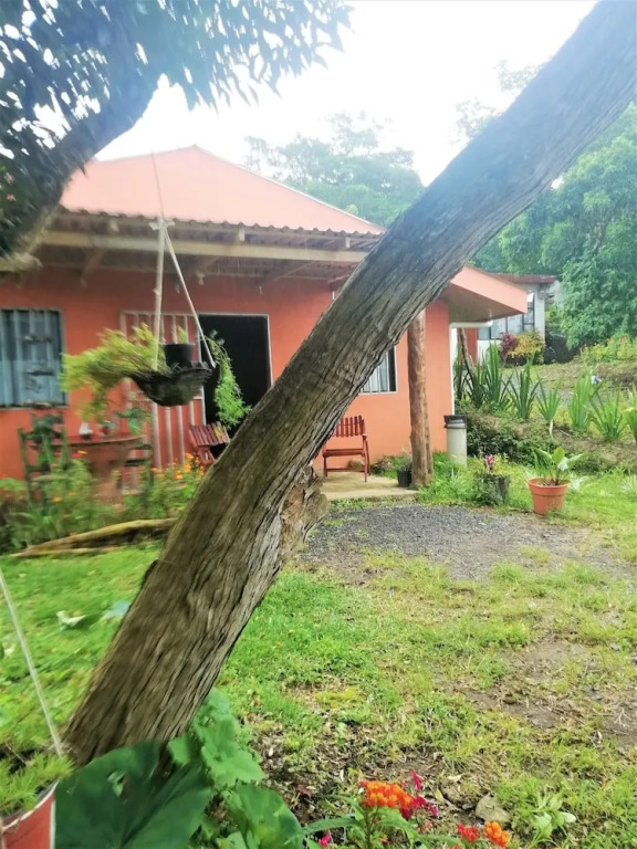 Casa Morella