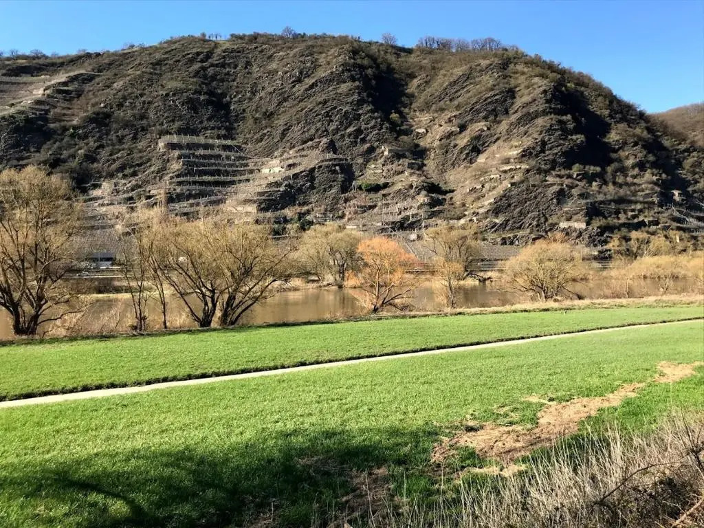 Ferienwohnung Brinkmann 4**** mit Moselblick