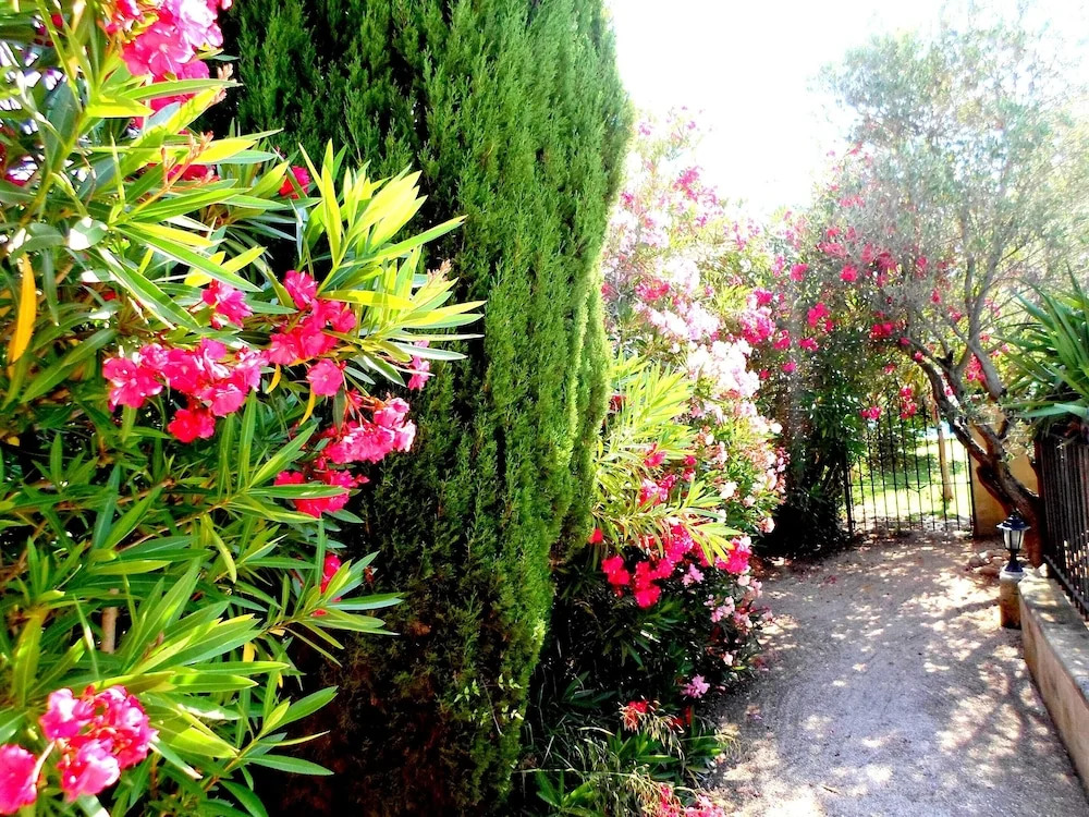 Villa With one Bedroom in Maussane-les-alpilles, With Pool Access, Fur