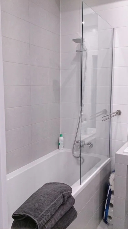 1 bedroom Francuska Park Apartment