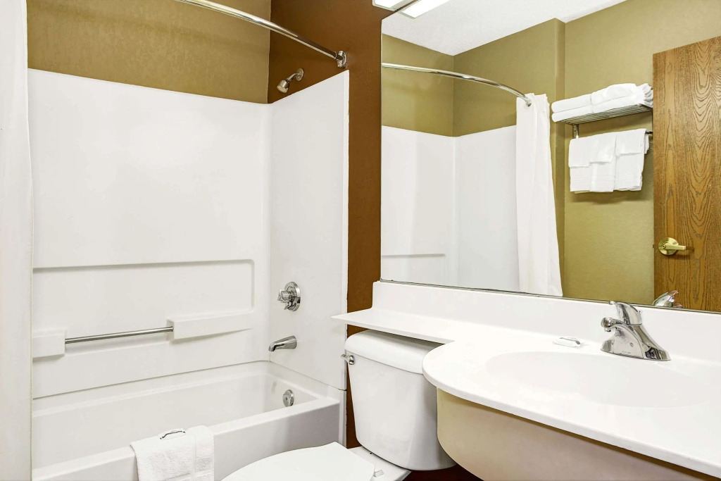 Microtel Inn & Suites by Wyndham Mason