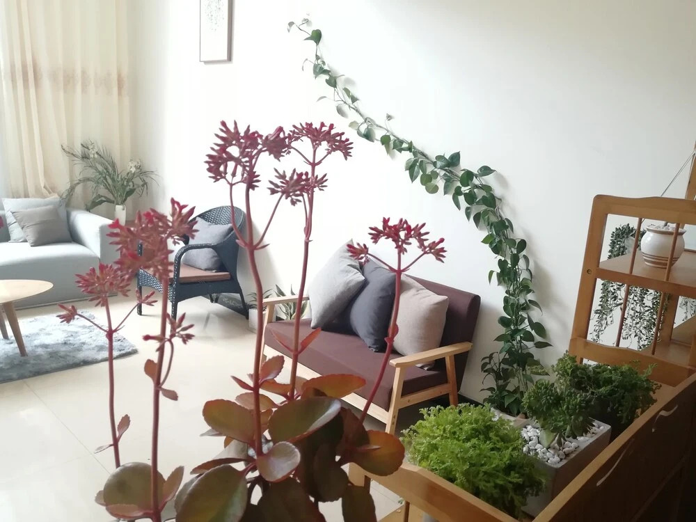 Kunming Stay Hostel